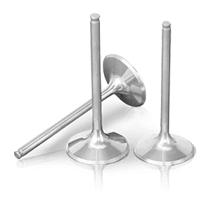 Engine Exhaust Valve